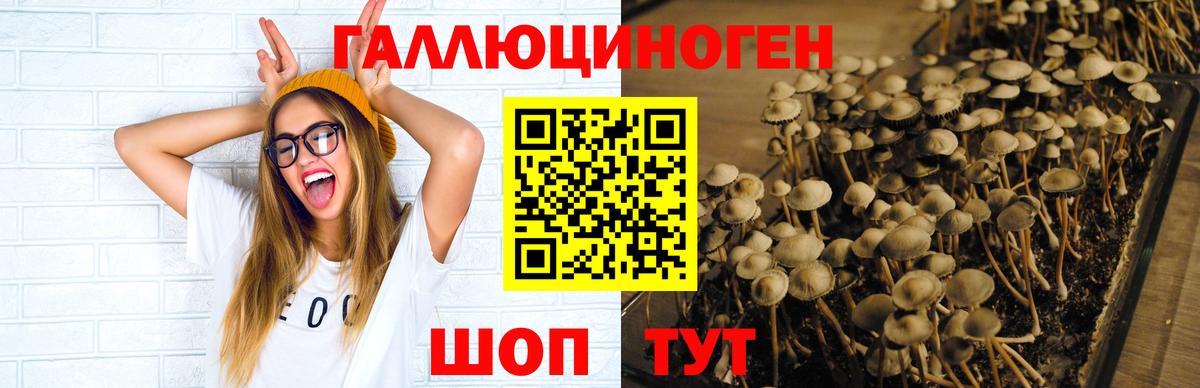 Серов  Псилоцибиновые грибы GOLDEN TEACHER  Вход с VPN 