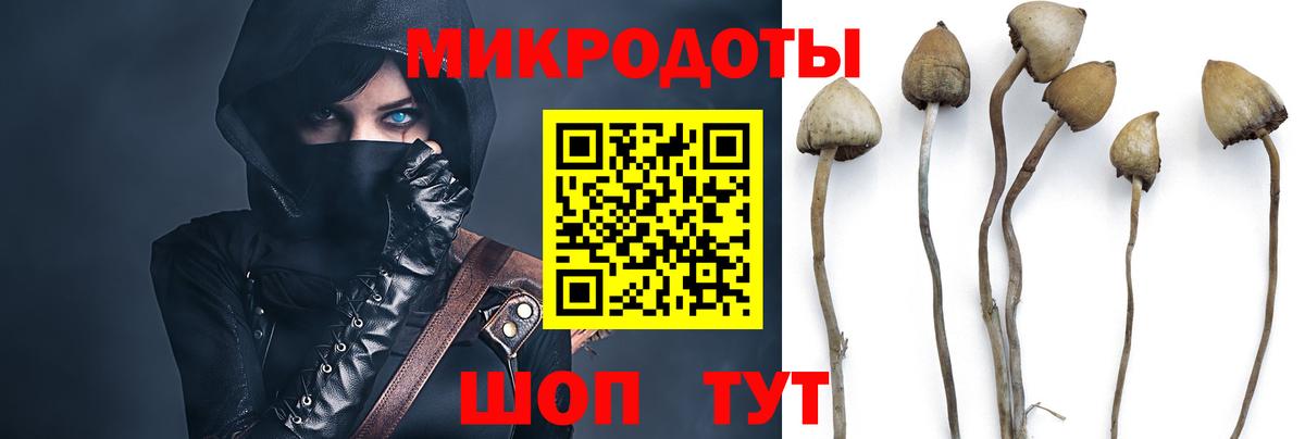 Псилоцибиновые грибы мухоморы Серов